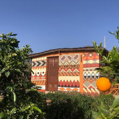ארפו Afrikan Krisant Tenerife, Casa Rural Ecologica מראה חיצוני תמונה