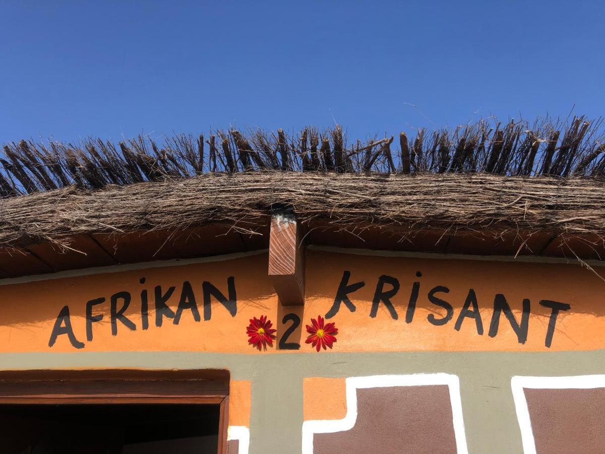 ארפו Afrikan Krisant Tenerife, Casa Rural Ecologica מראה חיצוני תמונה