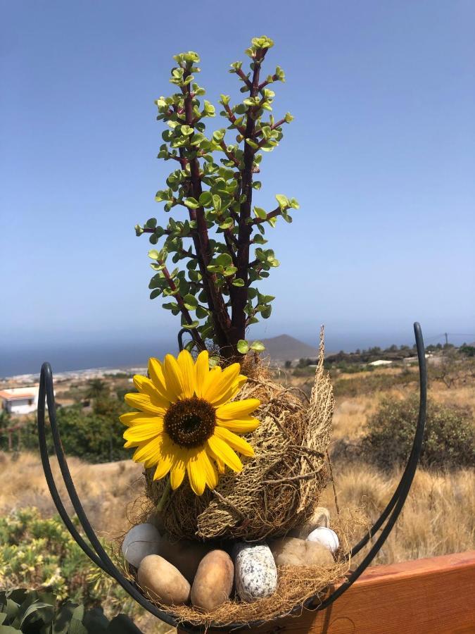 ארפו Afrikan Krisant Tenerife, Casa Rural Ecologica מראה חיצוני תמונה
