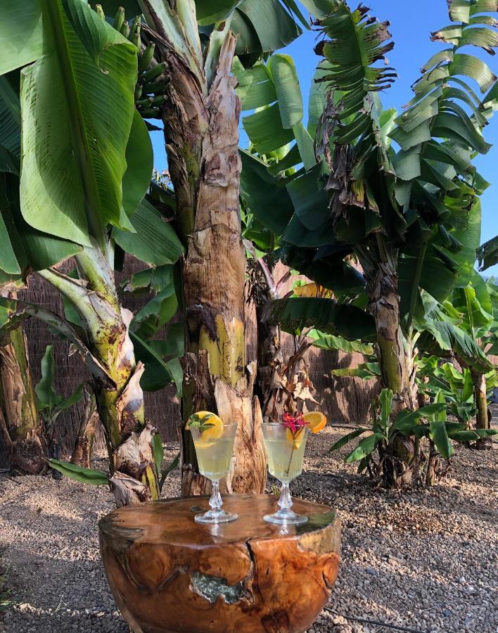 ארפו Afrikan Krisant Tenerife, Casa Rural Ecologica מראה חיצוני תמונה