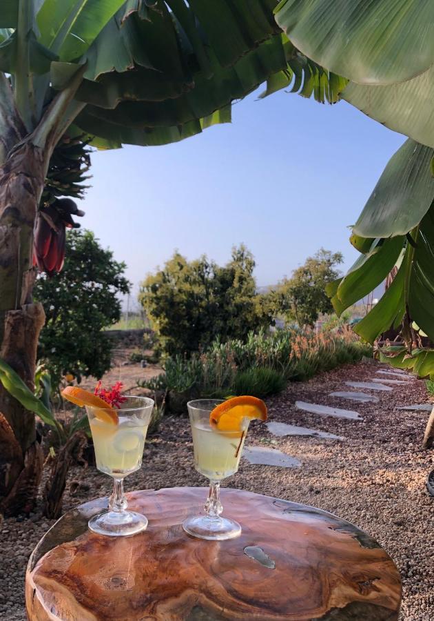ארפו Afrikan Krisant Tenerife, Casa Rural Ecologica מראה חיצוני תמונה
