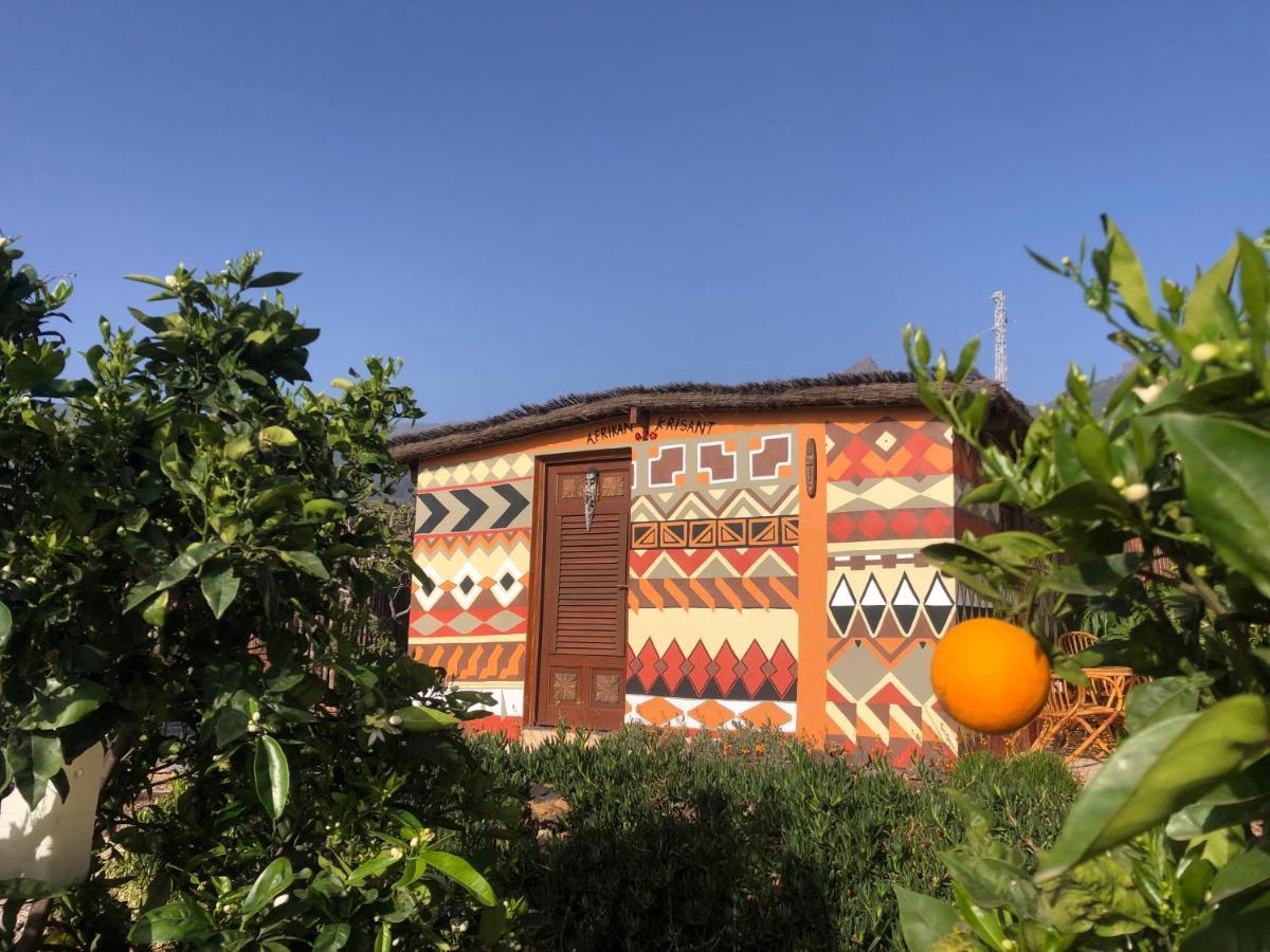 ארפו Afrikan Krisant Tenerife, Casa Rural Ecologica מראה חיצוני תמונה