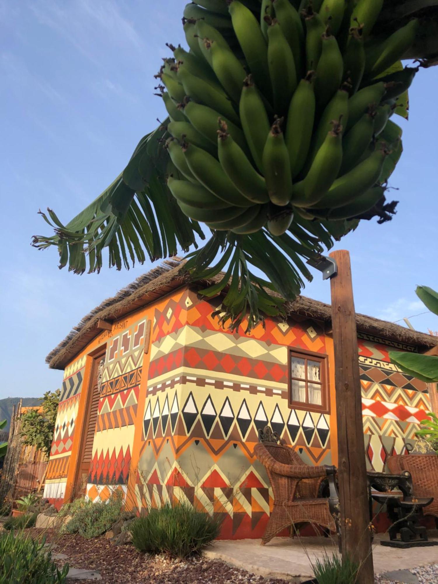 ארפו Afrikan Krisant Tenerife, Casa Rural Ecologica מראה חיצוני תמונה