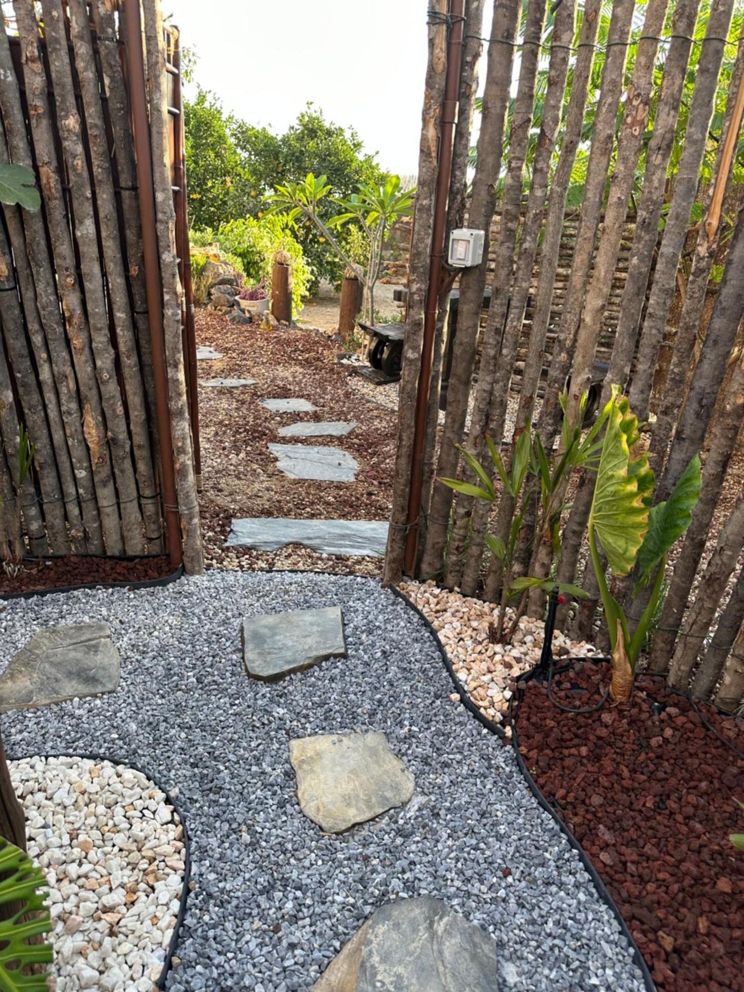 ארפו Afrikan Krisant Tenerife, Casa Rural Ecologica מראה חיצוני תמונה